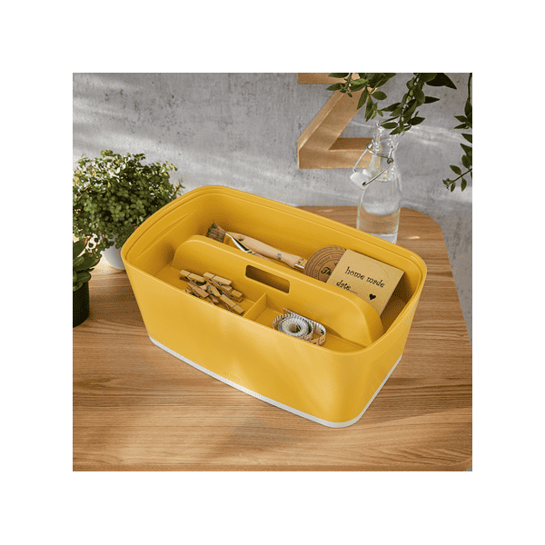 Organiseur avec poignée pour boîte My Box Cosy Leitz