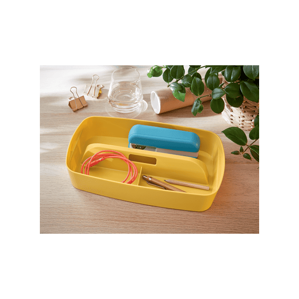 Organiseur avec poignée pour boîte My Box Cosy LEITZ