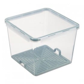 Grande boîte alimentaire hermétique 5,2 L Plast Team avec égouttoir transparent vert