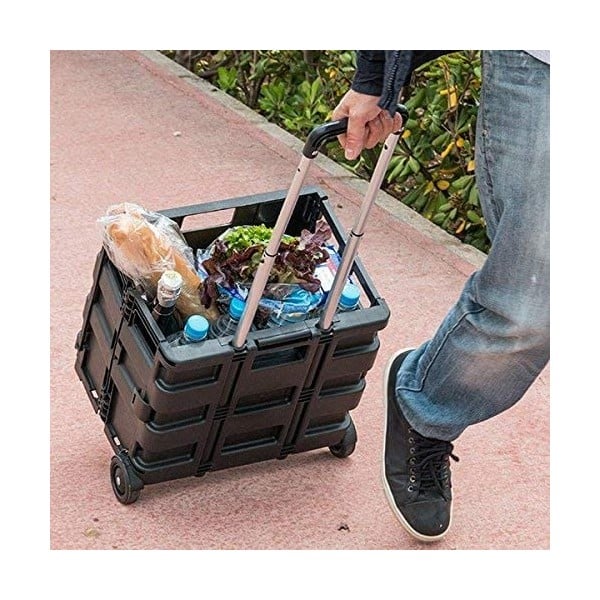 Diable avec Caisse de transport Pliable charge 35 kg