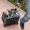 Diable avec Caisse de transport Pliable charge 35 kg