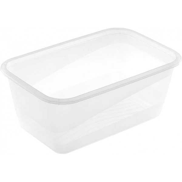 Grande Boîte de conservation et congélation 4,3 litres