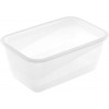 Grande Boîte de conservation et congélation 4,3 litres