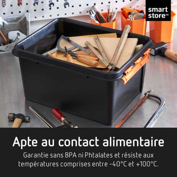 Grande Caisse Professionnelle solide avec couvercle 50 litres