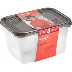 2 Grandes Boîtes de conservation congélation 2 litres