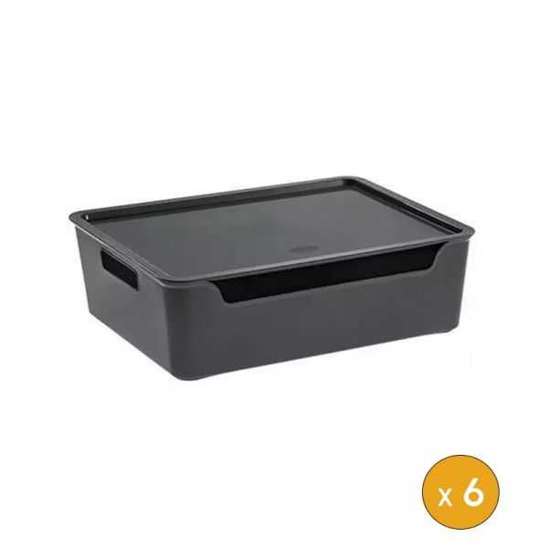 6 Bacs de rangement avec couvercle élégant 9 Litres