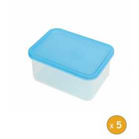 5 Boites plastiques hermétiques professionnelles 800 ml