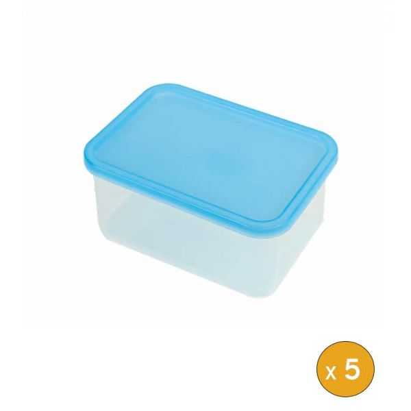 5 Boites plastiques hermétiques professionnelles 800 ml