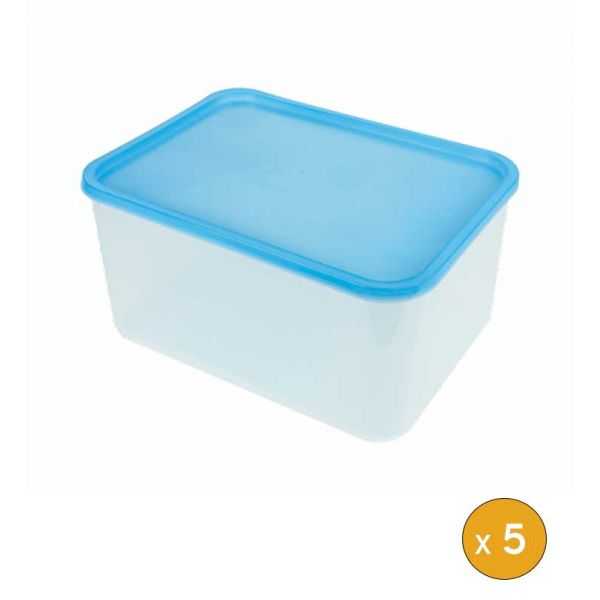5 Boites plastiques hermétiques professionnelles 8 litres