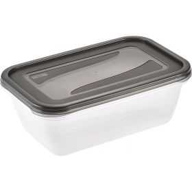 Lot de 2 Boîtes de conservation congélation 3,3 litres